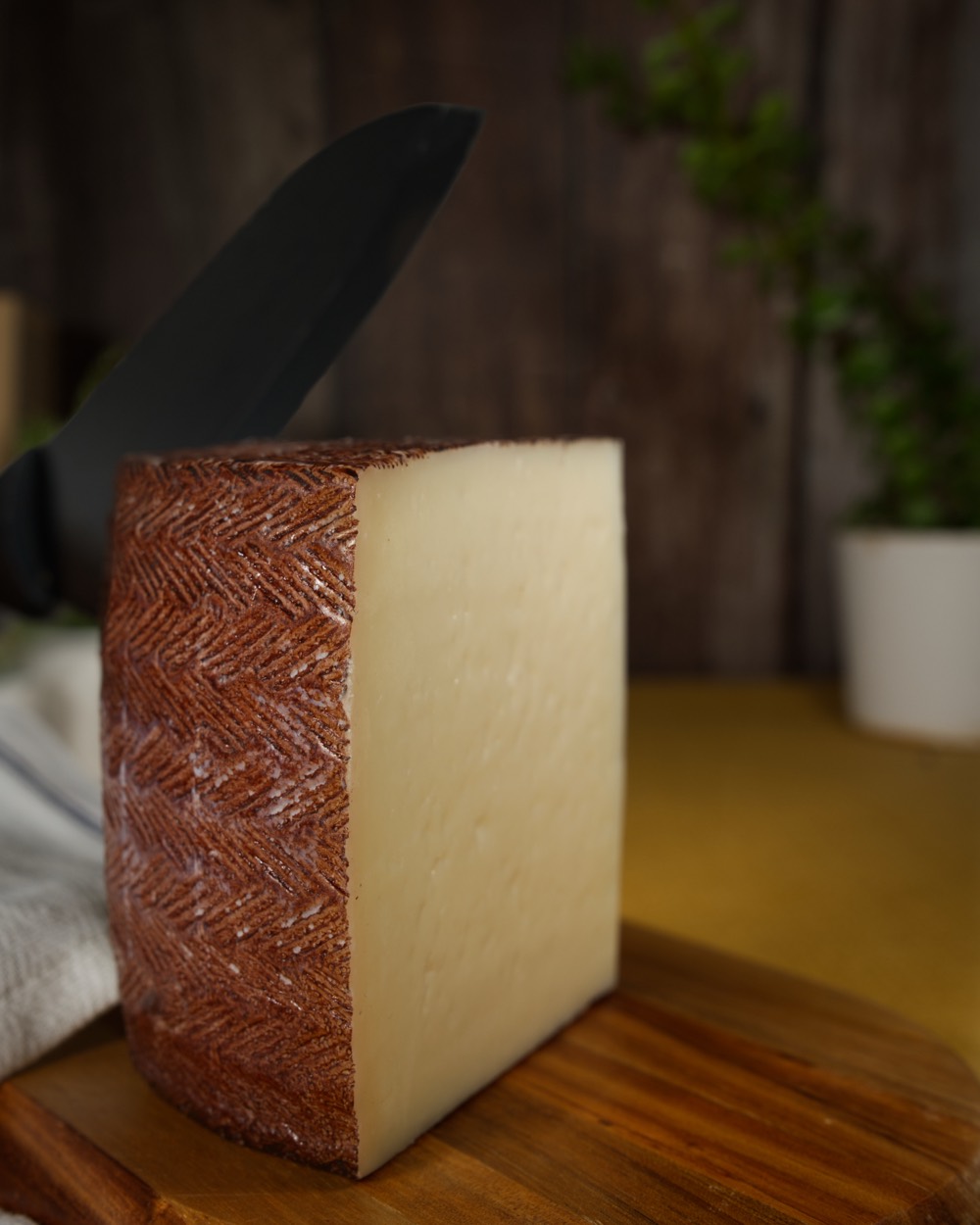 Manchego Peyniri